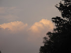 View from Victoria Park