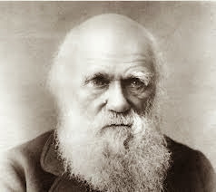 Sr Darwin