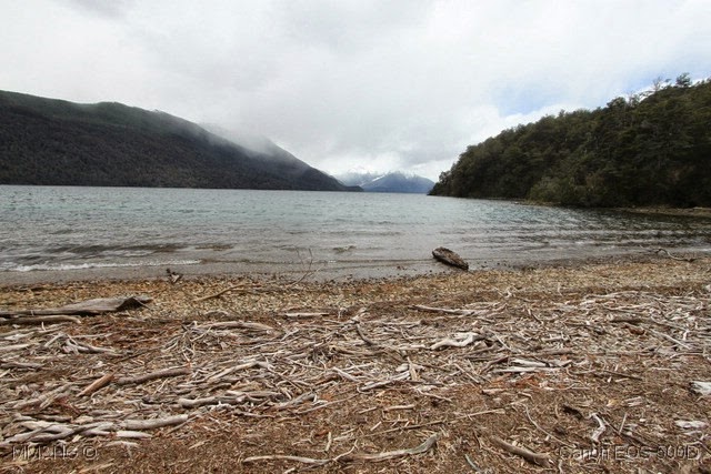 [IMG_3517%255B17%255D.jpg]