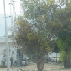 Tunesien2009-0406.JPG