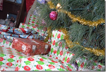 DSC_0008 DSC_0008