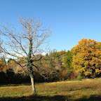 STB_2480.jpg