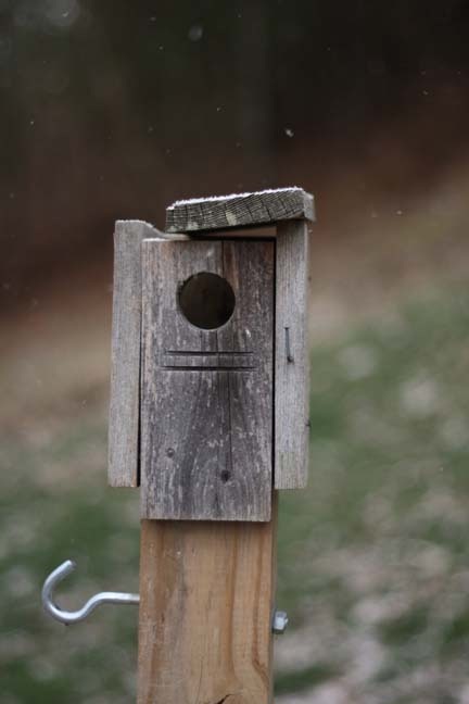 [echs%2520homecoming%25202012%2520026%255B1%255D.jpg]