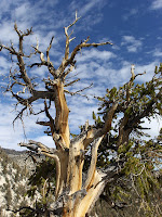 HPIM2411.JPG Photo