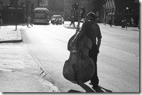 IMG_3501 IMG_3501