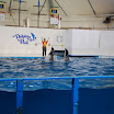 hokkaido_458.jpg