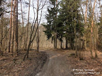 dsc06971.jpg