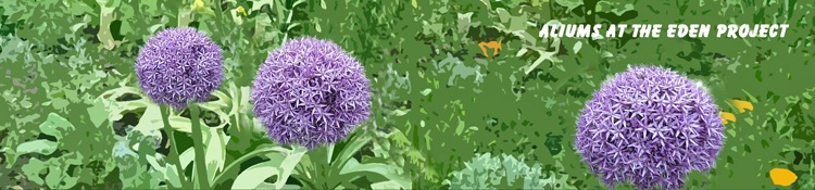 [aliums%2520at%2520eden%255B4%255D.jpg]