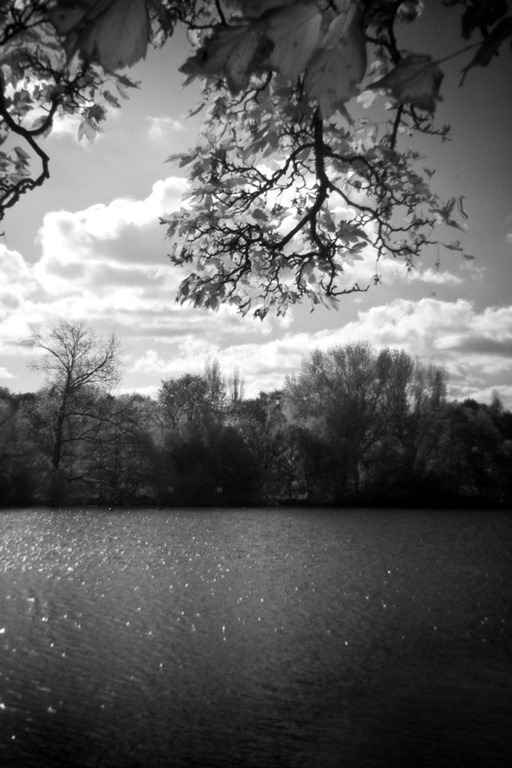 [Infrared-Holga-5%255B3%255D.jpg]