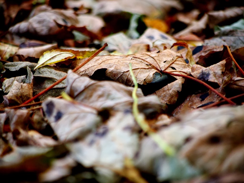 [27%2520Nov%25201%255B3%255D.jpg]