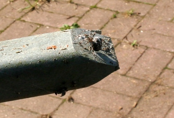 [IMG_1545%255B3%255D.jpg]