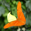 B IMG_1300 E2.jpg
