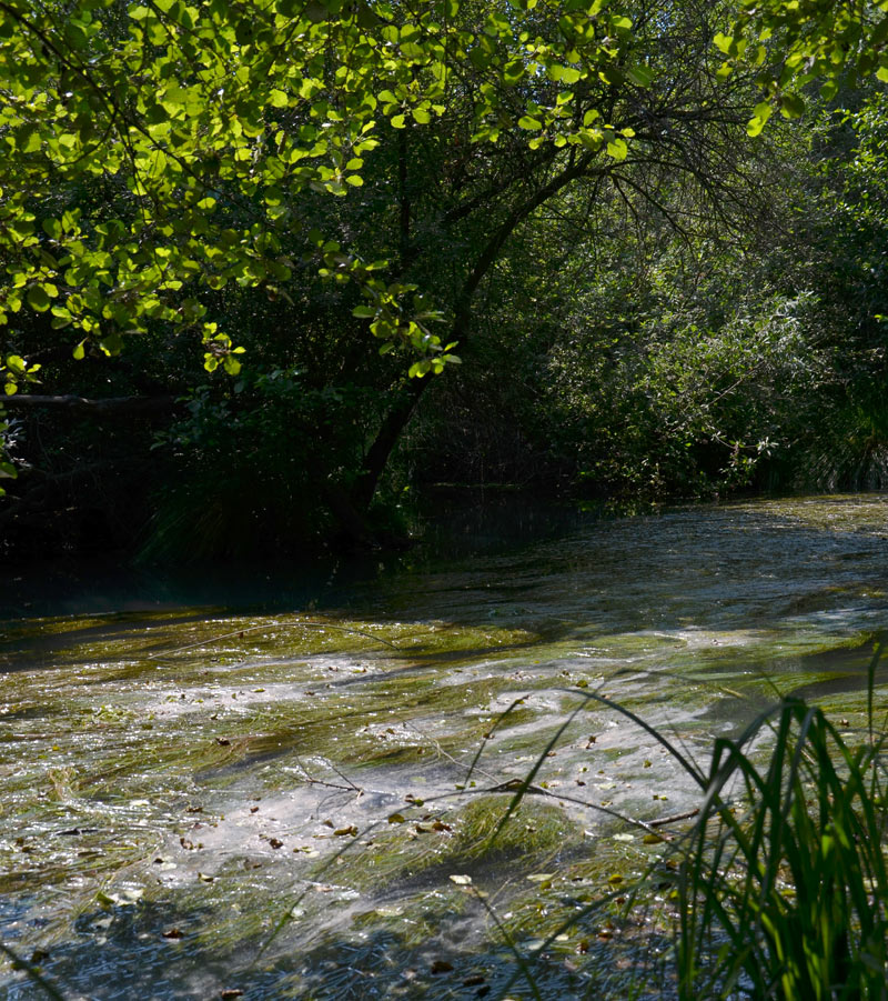 Oasi_Cervara_23.jpg Oasi Cervara 23