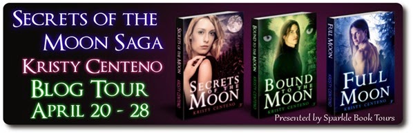 secretsofthmoon banner