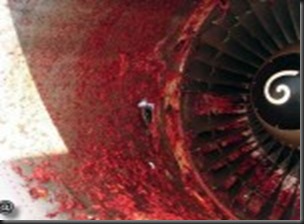 jet engine mechanic