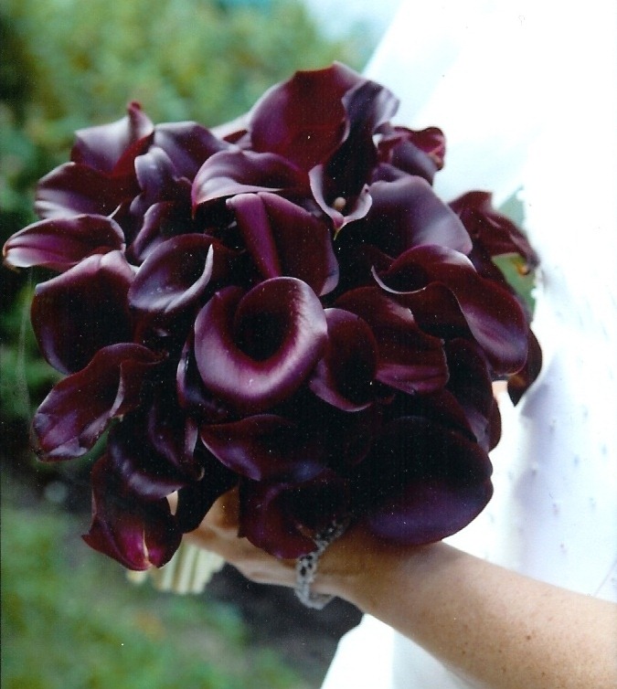 [Calla-Bouquet5.jpg]