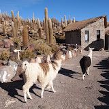 P6053659.JPG