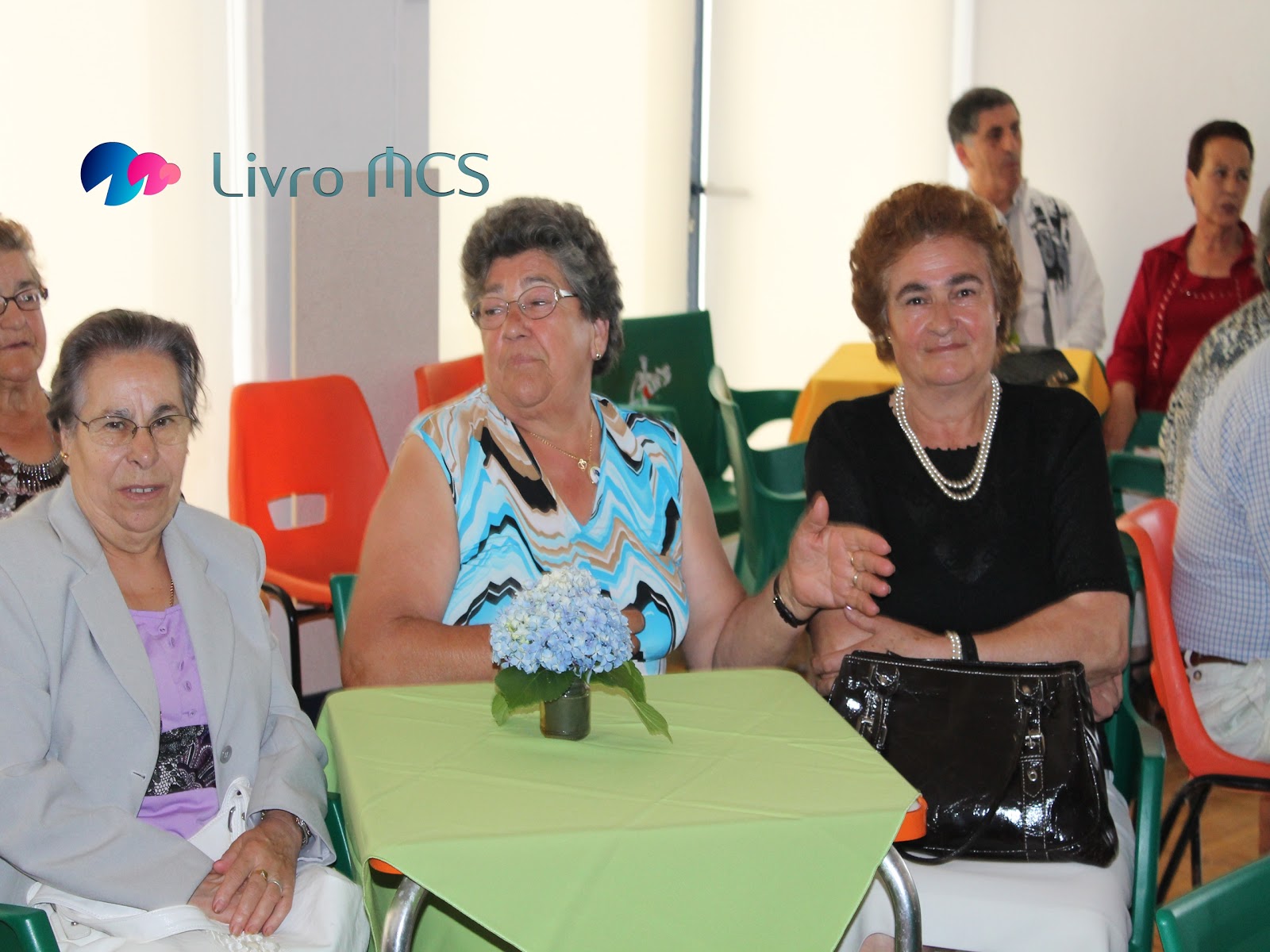 [Blog%2520Gazeta%2520de%2520Espinho001Livro%2520MCS%255B2%255D.jpg]