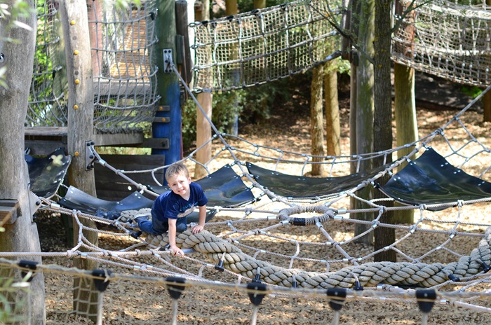 [Luke%255B4%255D.jpg]