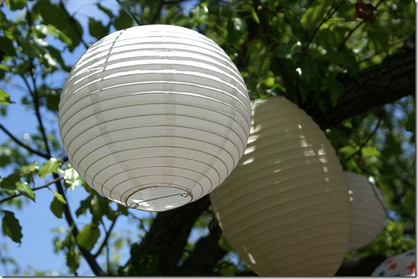 220 Lantern