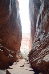 Another slot canyon to explore!...Burr Trail Rd. UT