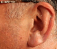 mcgurk ear bbc two