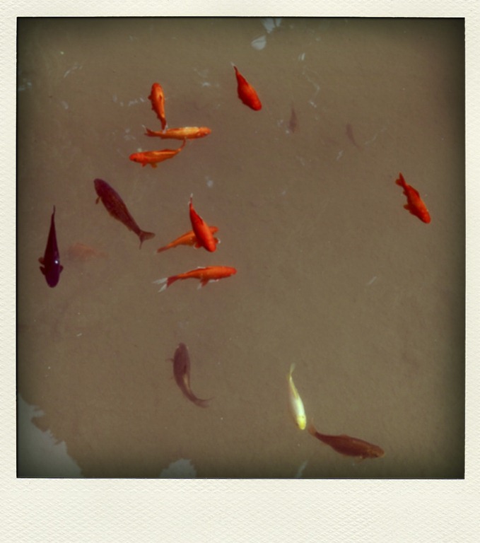 [PFP%2520_%25202%2520_%252002%255B5%255D.jpg]