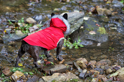 It has a Velcro closure at the chest and belly for a secure fit and it even has belt loops if you wish to accessorize. It has a Velcro closure at the chest and belly for a secure fit and it even has belt loops if you wish to accessorize.
