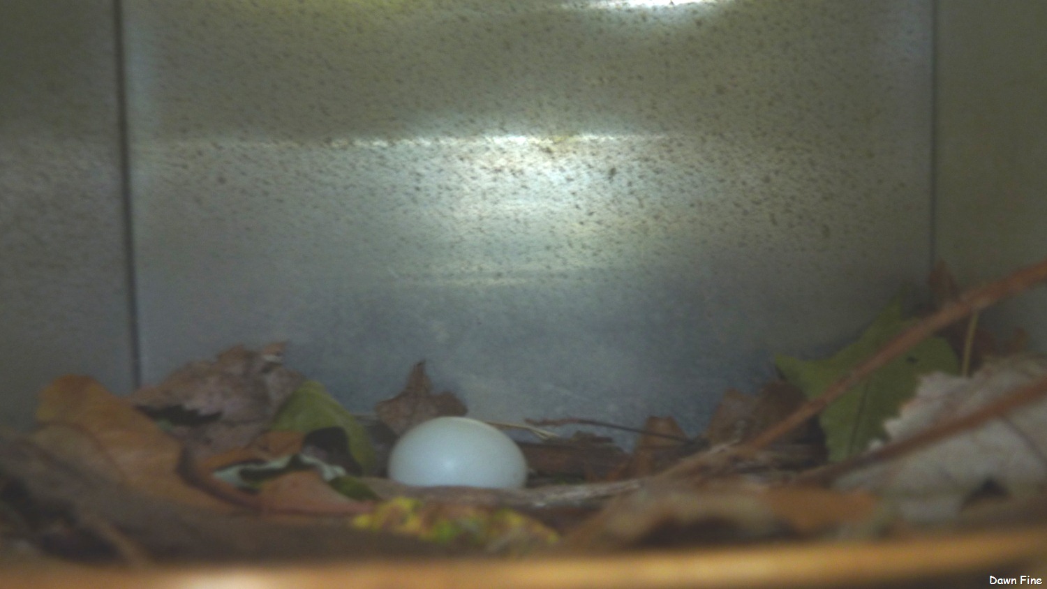 [around-mom-and-dads_022.jpg]