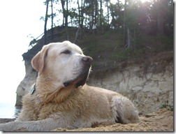 IMG_2569 IMG_2569