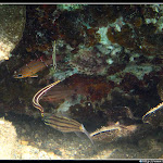 IMG_0637.JPG