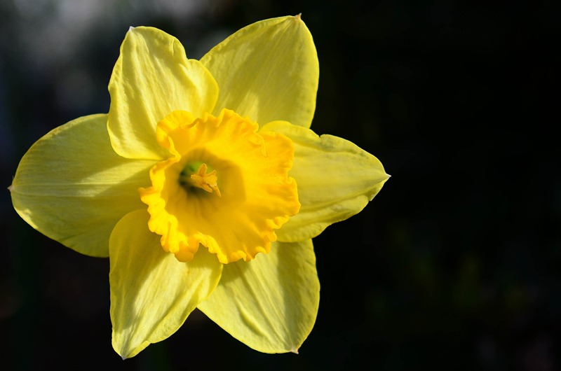 [spring%2520walk21%255B3%255D.jpg]