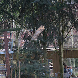 Cub Pack Holiday - Skreens Park 2012 - DSC_0177.jpg