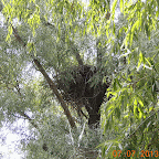DSCN9672-MOTION.gif