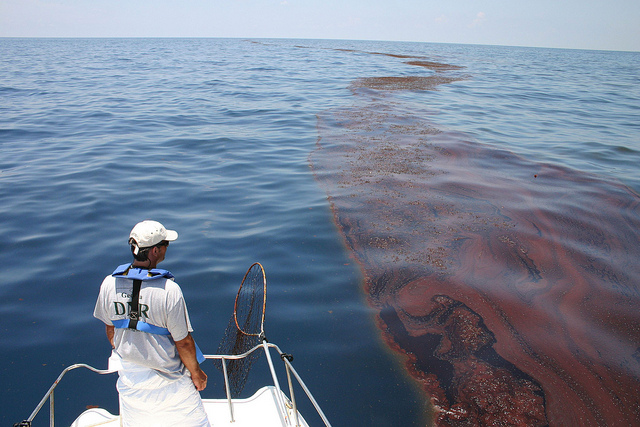 Mark Dodd, wildlife biologist from Georgia's Department of Natural Resources, surveying oiled sargassum in the Gulf of Mexico. As the nation’s leading scientific resource for oil spills, NOAA has been on the scene of the BP spill from the start, providing coordinated scientific weather and biological response services to federal, state, and local organizations. Photo: Georgia Department of Natural Resources / flickr