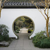 IMGP7903.JPG