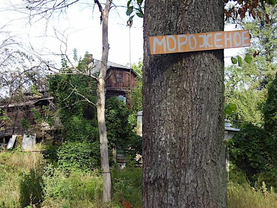 P9240030.JPG