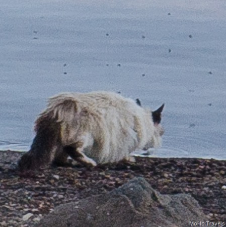 [Medicine%2520Lake%2520Day%25202-64%255B2%255D.jpg]