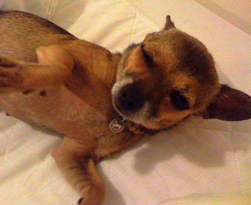 Minnow says, 