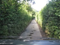 IMG_3189 IMG_3189