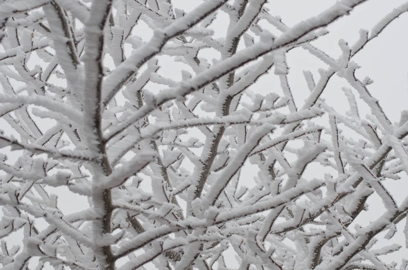 [December%2520Fun-33%255B15%255D.jpg]