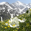 DSCN0660.JPG