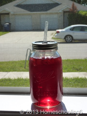 Passion Tea Passion Tea