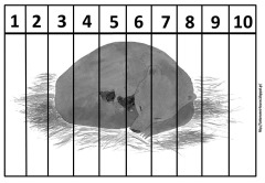 αρ2 αρ2