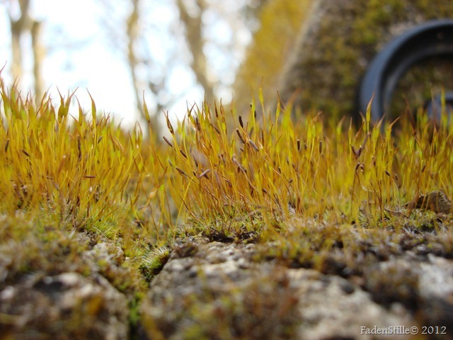 DSC03783 DSC03783
