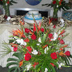 OgAAAO0iPFFhZ89L0h7zfhzxptSh1taQlGIJWTf85RPsRRQUplnLLHsuhmC_jisB6Fm9b3o7W3sxo23hpwRz-9vwkOEAm1T1UINvO0cJzjnsgkBKD0x3Ndd1TDer.jpg