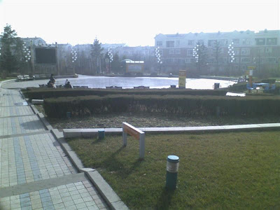 1104112201 (Medium).jpg