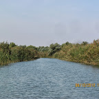 IMG_8045.JPG
