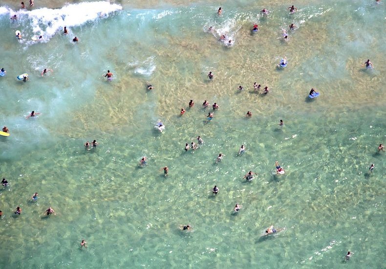 bondi-swimmers-1