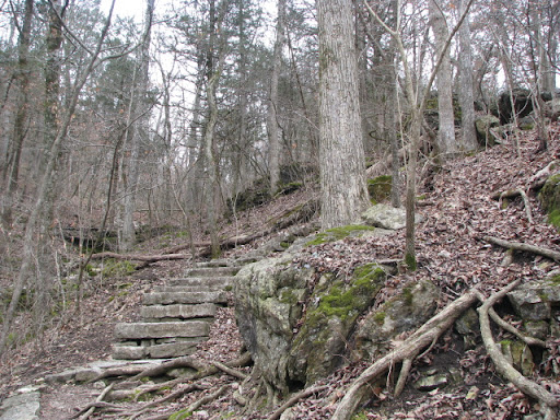 Part of Deer Leap Trail at Roaring River Hatchery
photo credit:  Michele Skalicky